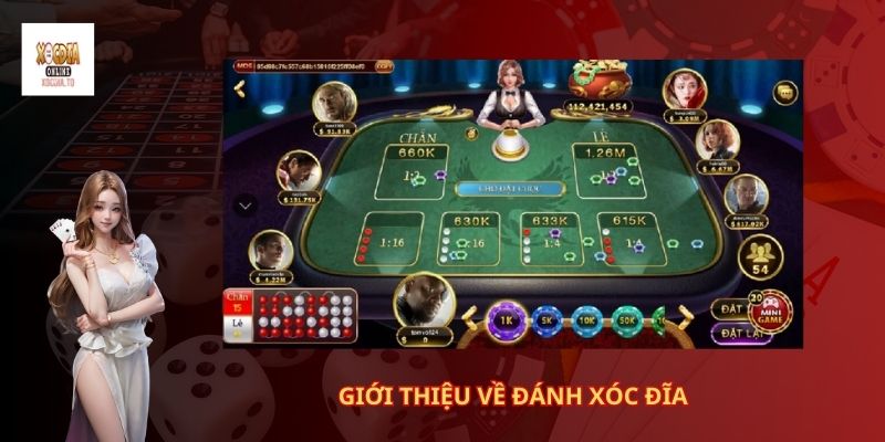 Giới thiệu về đánh xóc đĩa