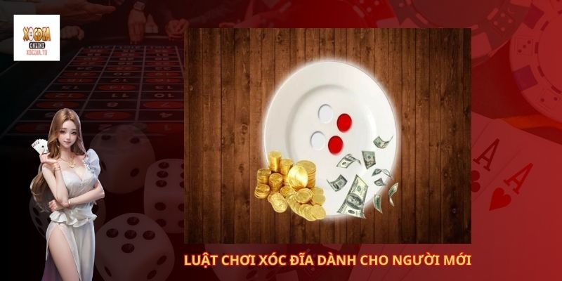 Luật chơi xóc đĩa dành cho người mới